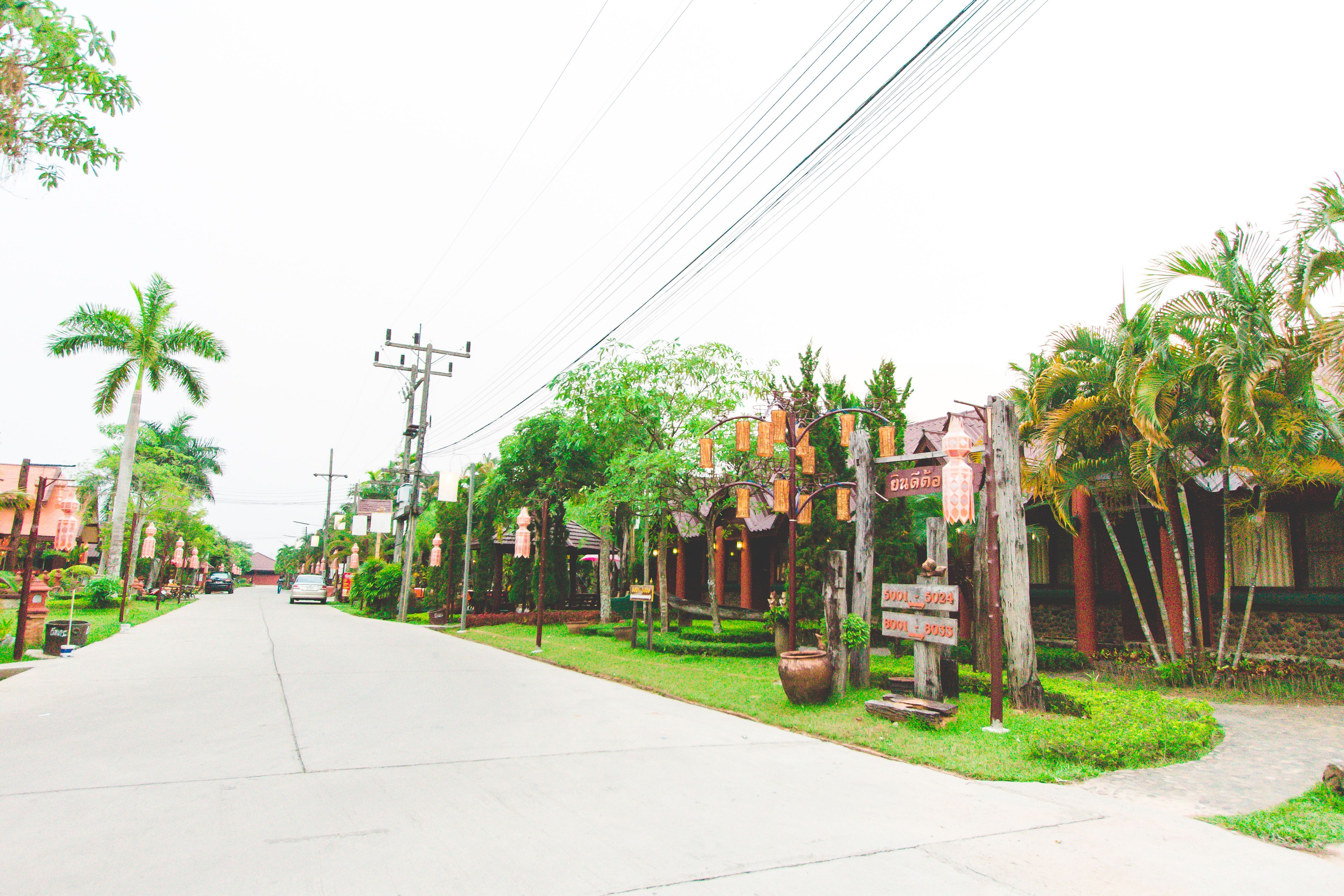 A street lined with palm trees and buildings, with a clear road and utility poles.