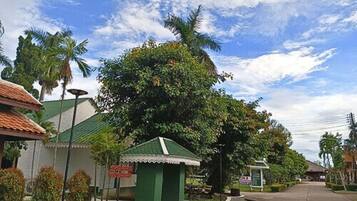 A street view with a green-roofed building, a large tree, and a clear sky.