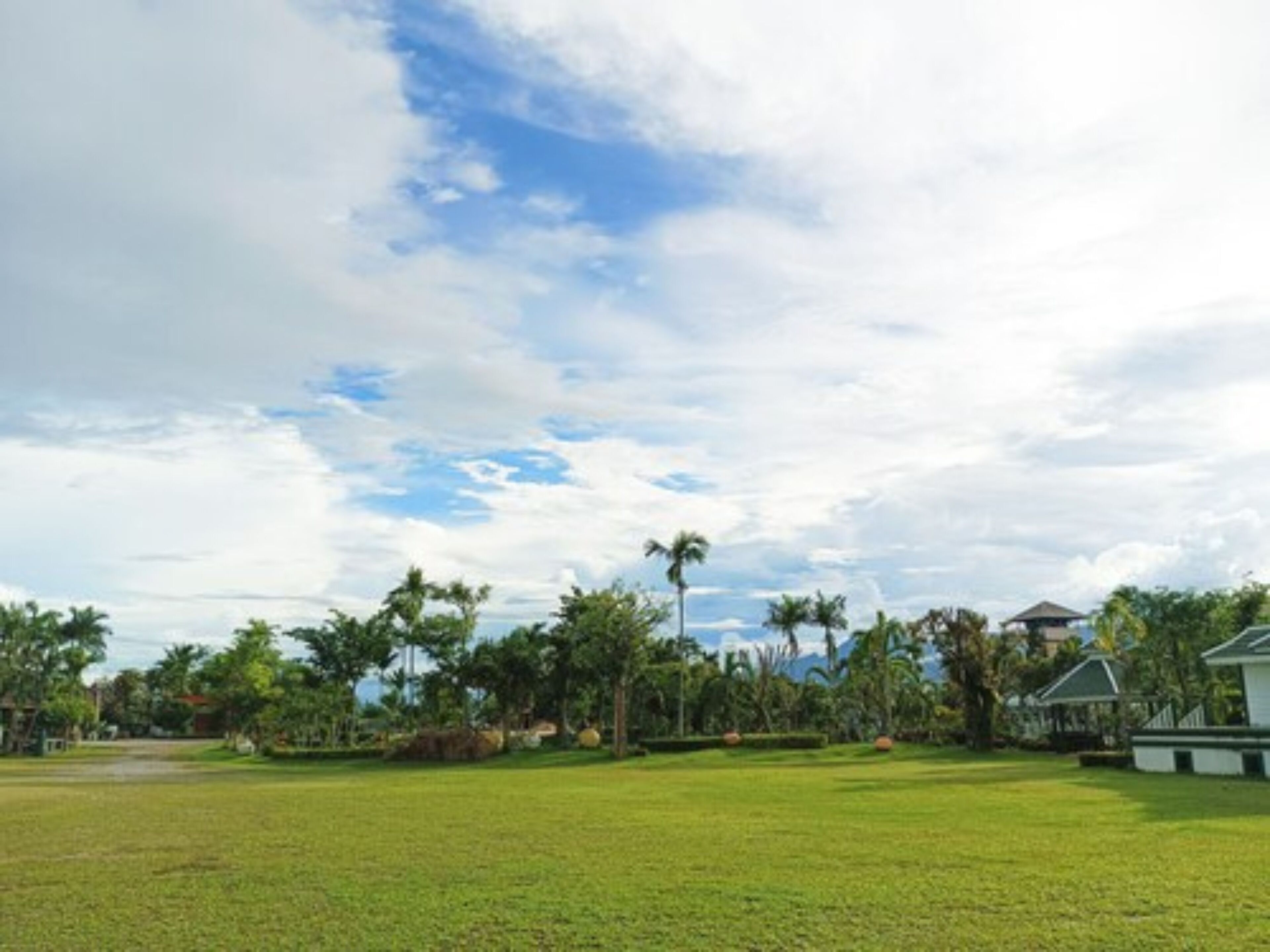 A grassy area with a few trees and a building in the background.