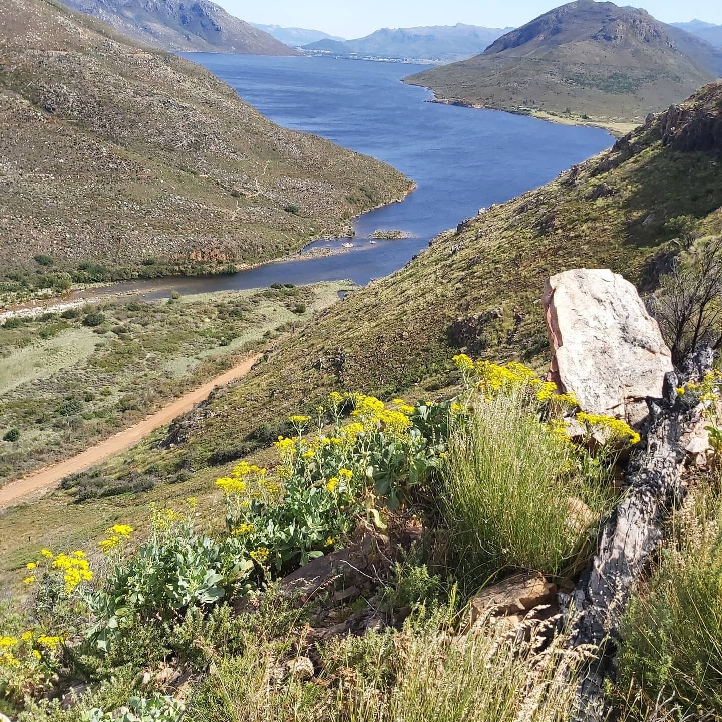 Eine gebirgige Landschaft mit einem Fluss, einem Feldweg und gelben Wildblumen.