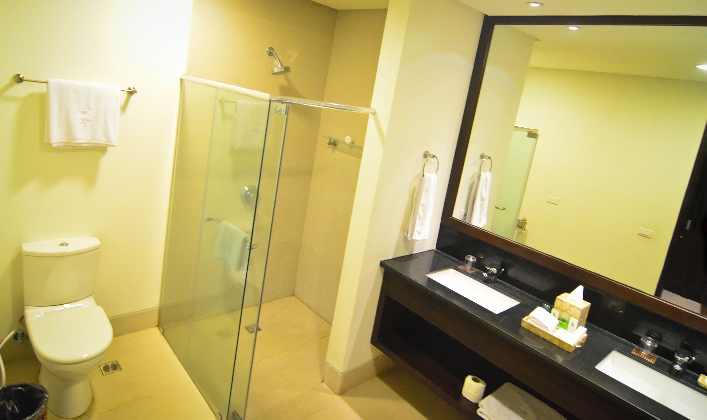 Ein Badezimmer mit einer Duschkabine, Toilette, Waschbecken mit Spiegel und Handtuchhalter.