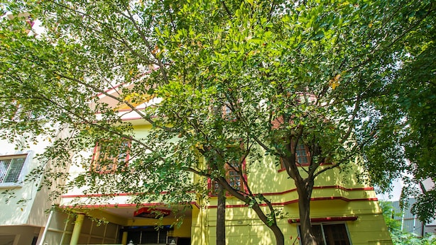 A yellow building with a red roof, a tree in front, and a sign with the number 510.