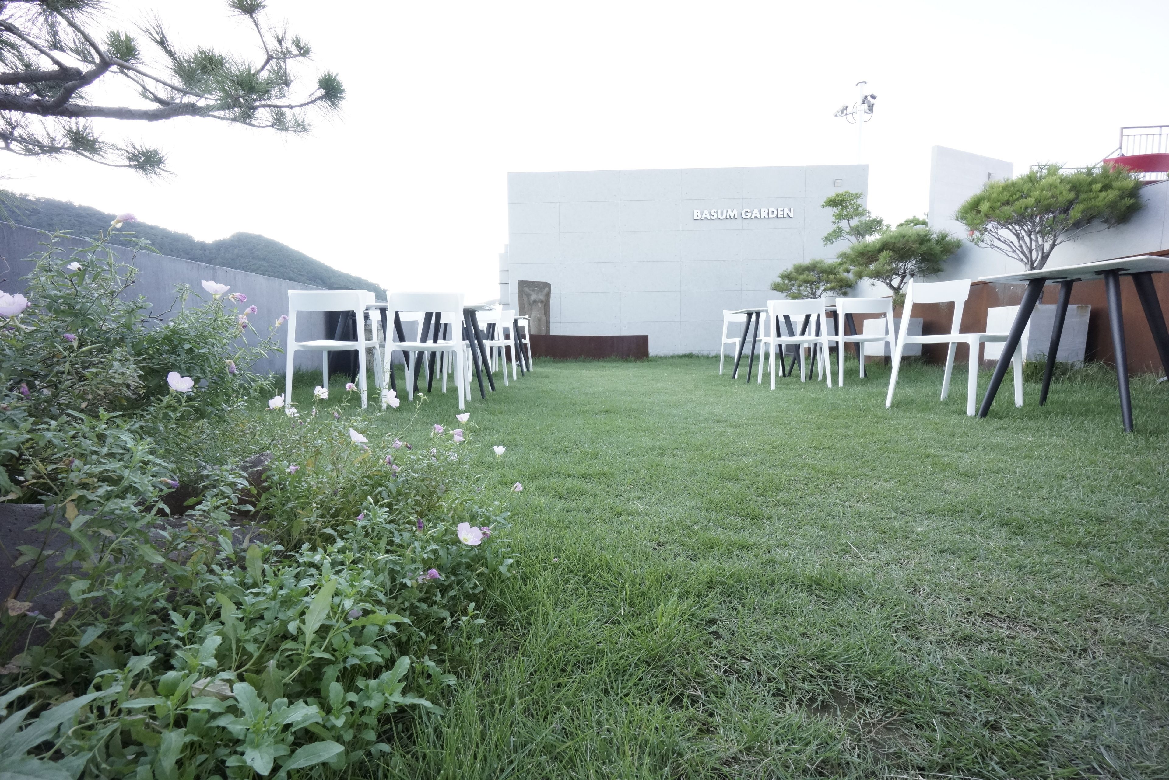 Un espacio al aire libre con césped, sillas blancas dispuestas en filas, un edificio con la inscripción "BASUM GARDEN" al fondo y un árbol a la izquierda.