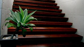 Eine Treppe mit Holzstufen und zwei Blumentöpfen auf der Zwischenebene.