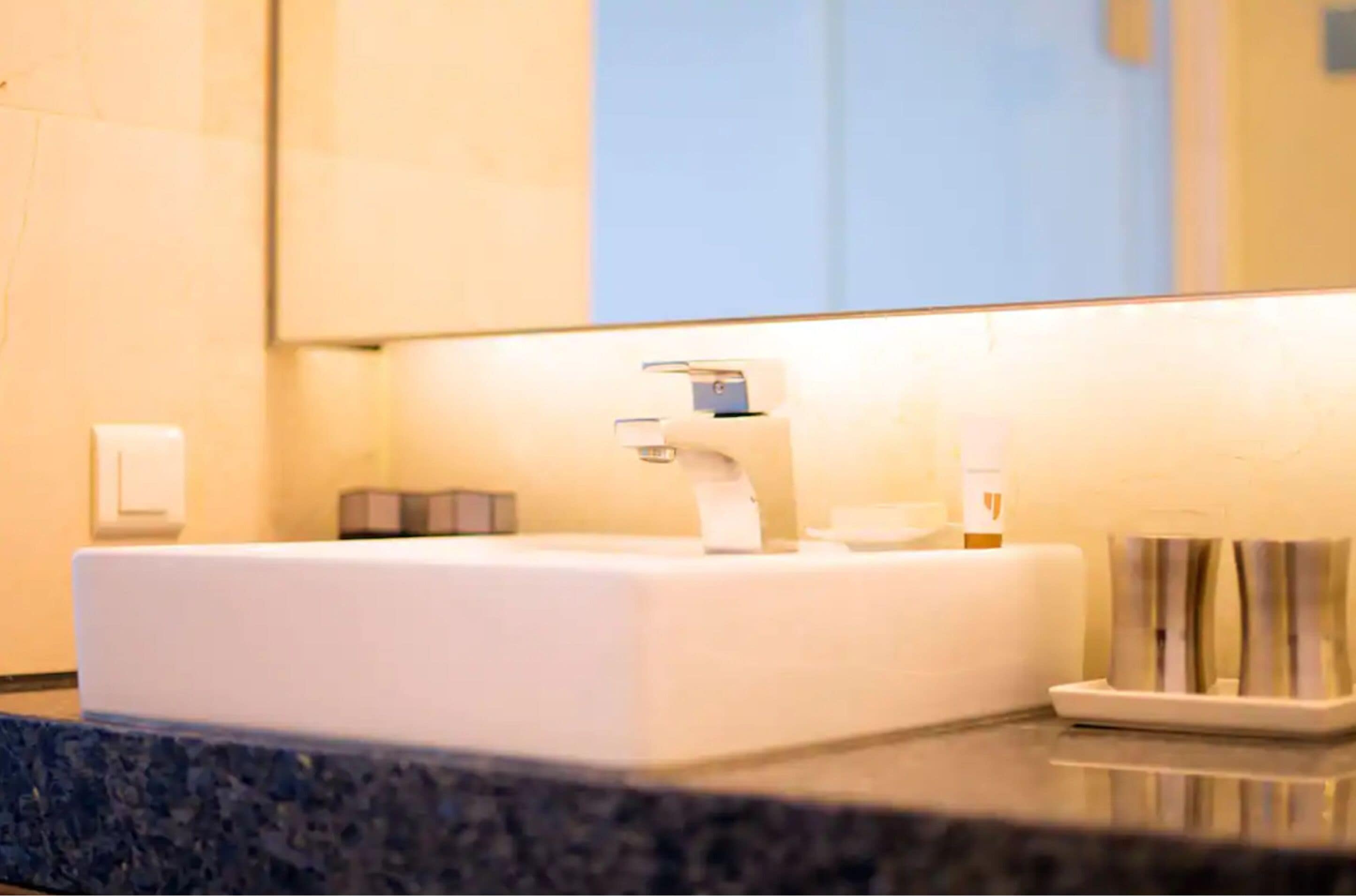 business double room | bathroom sink