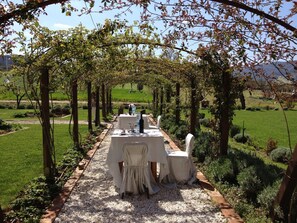 Outdoor wedding area