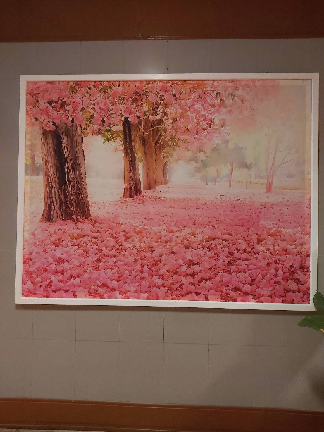 Ein gerahmtes Gemälde von Kirschblüten mit Bäumen und einem Boden, der mit Blütenblättern bedeckt ist.
