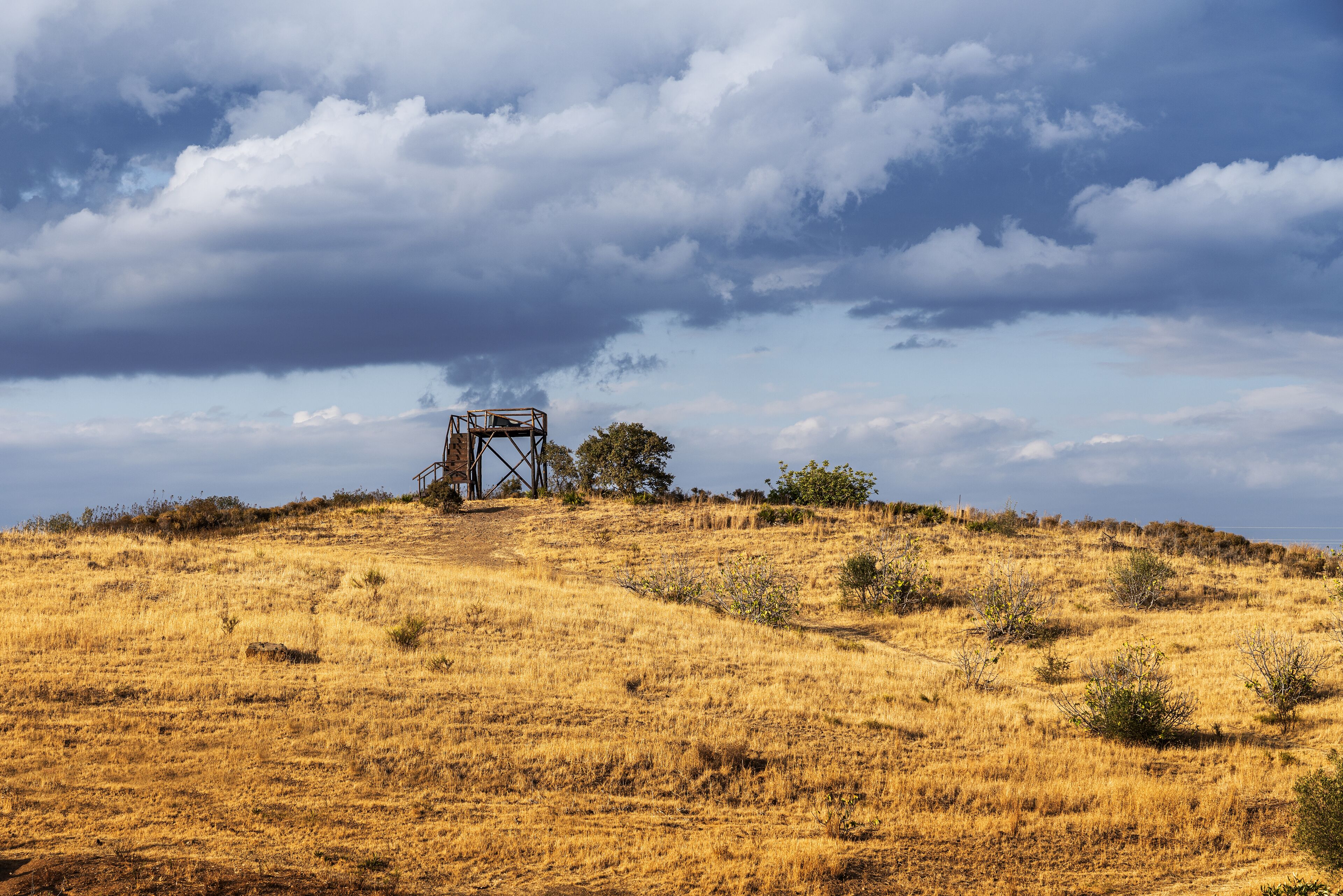 Foto - Monte Do Malhao - Art, Eco & Spa