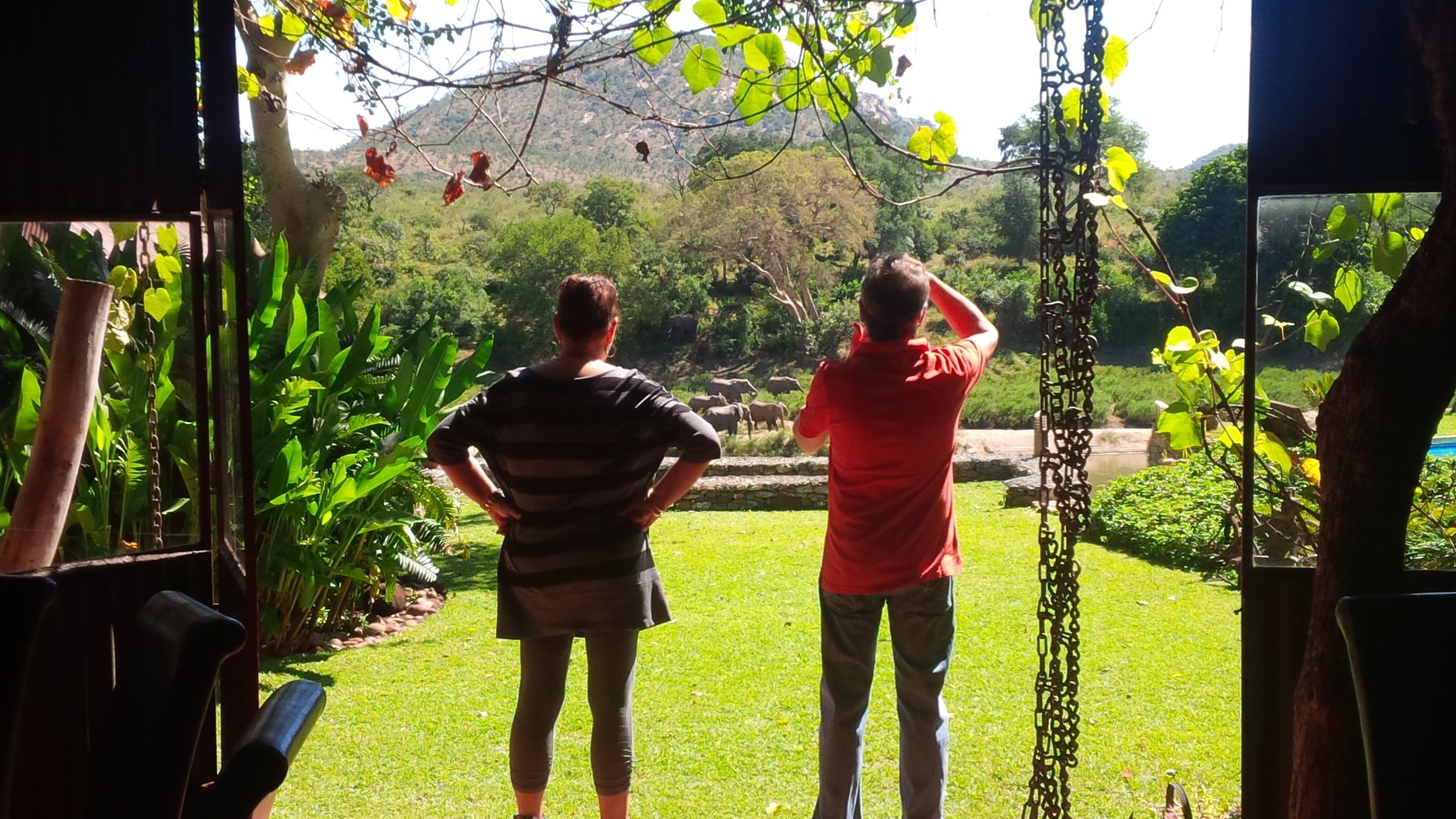 Two people standing in a garden with a view of elephants in the background.