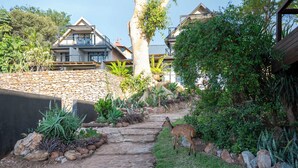 Un sendero de piedra conduce a un edificio de estilo arquitectónico moderno, rodeado de abundante vegetación y diversas plantas.