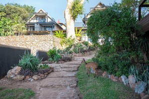 Terrace/patio - River House Bush and Safari Lodge (Nkomazi)