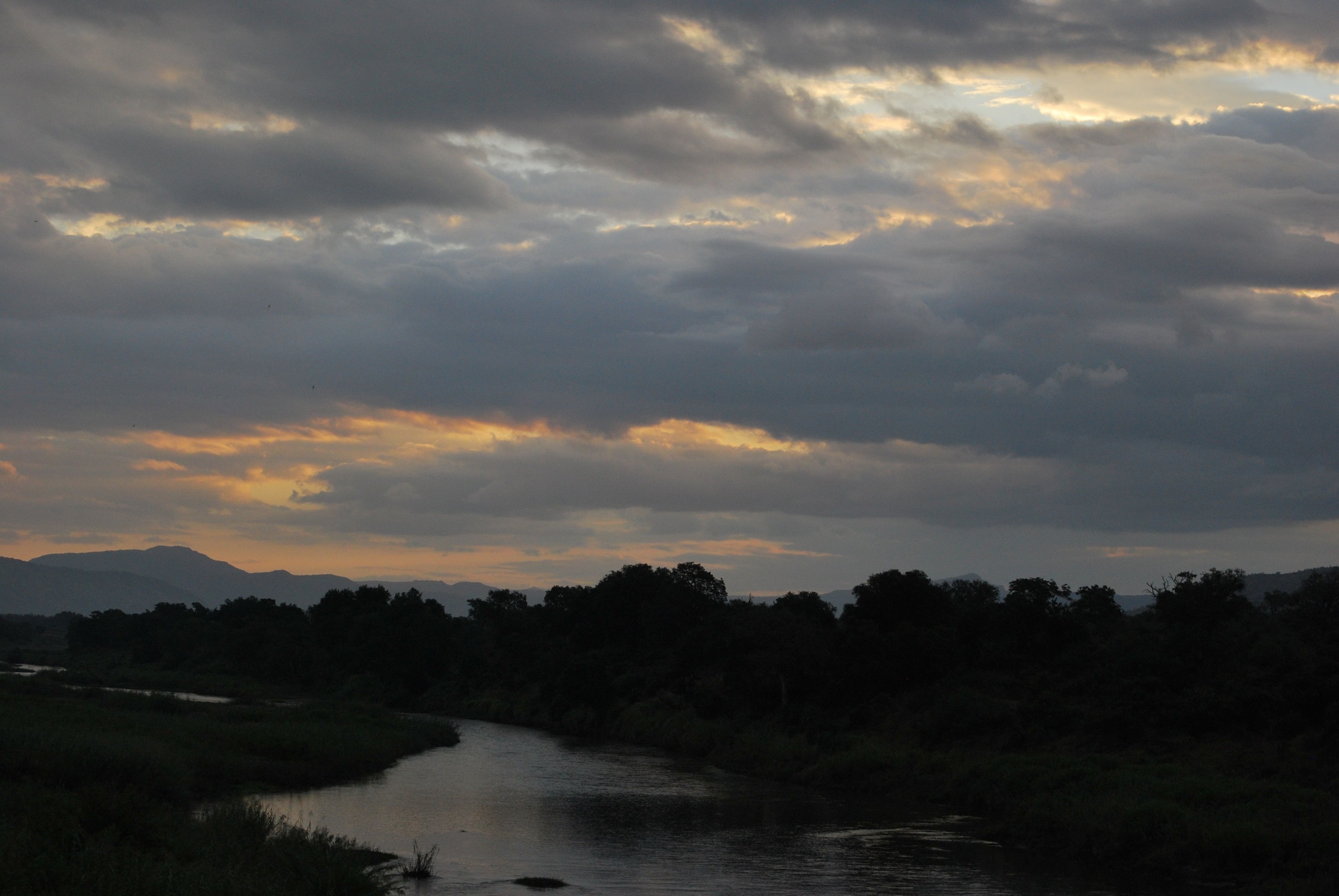 A river flowing through a landscape with trees and mountains in the background.