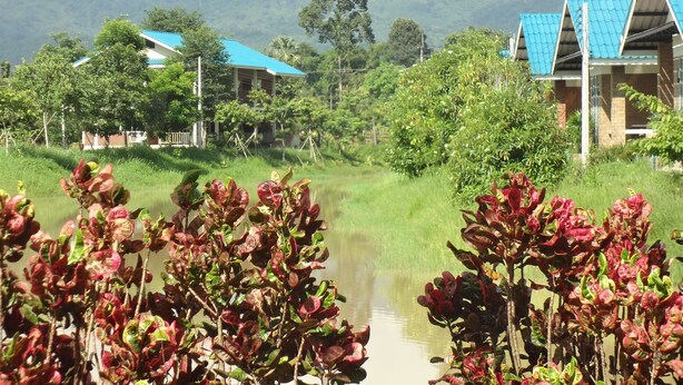 Entorno rural con un cuerpo de agua, vegetación verde y edificios con tejados azules.