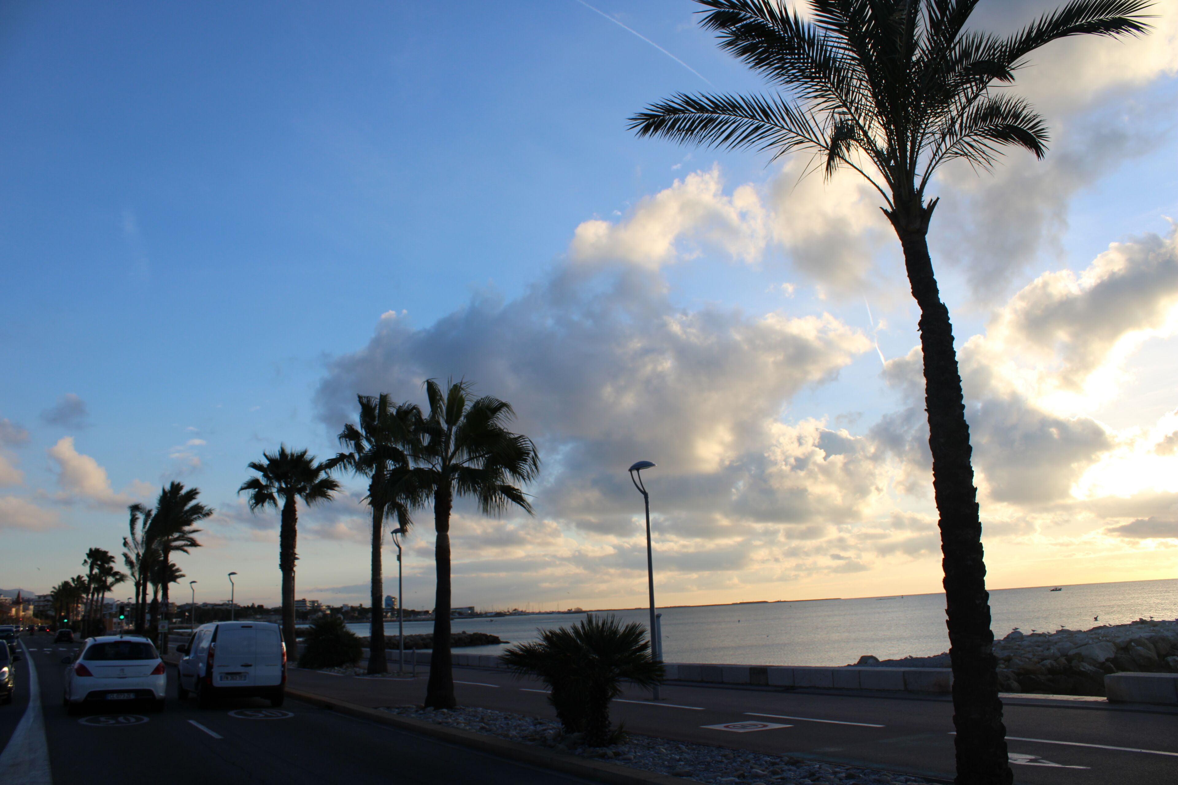 Photo - La Villa des Oliviers
