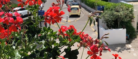 Eine Straße mit parkenden Autos, ein Gebäude mit Balkonen und im Hintergrund ein freier Blick auf das Meer.
