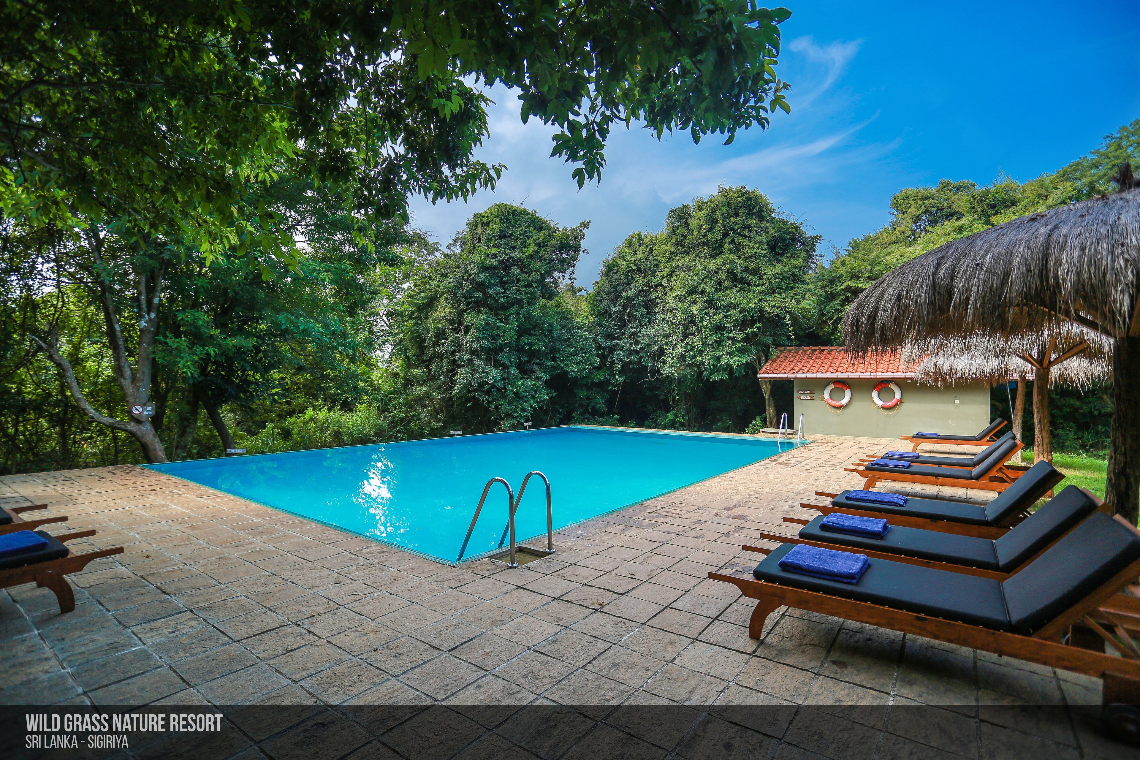 outdoor pool, pool umbrellas, pool loungers