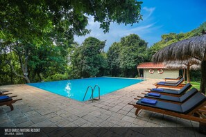 A swimming pool with lounge chairs and a thatched-roof structure at Wild Grass Nature Resort in Sigiriya, Sri Lanka. - Wild Grass Nature Resort (Dambulla)