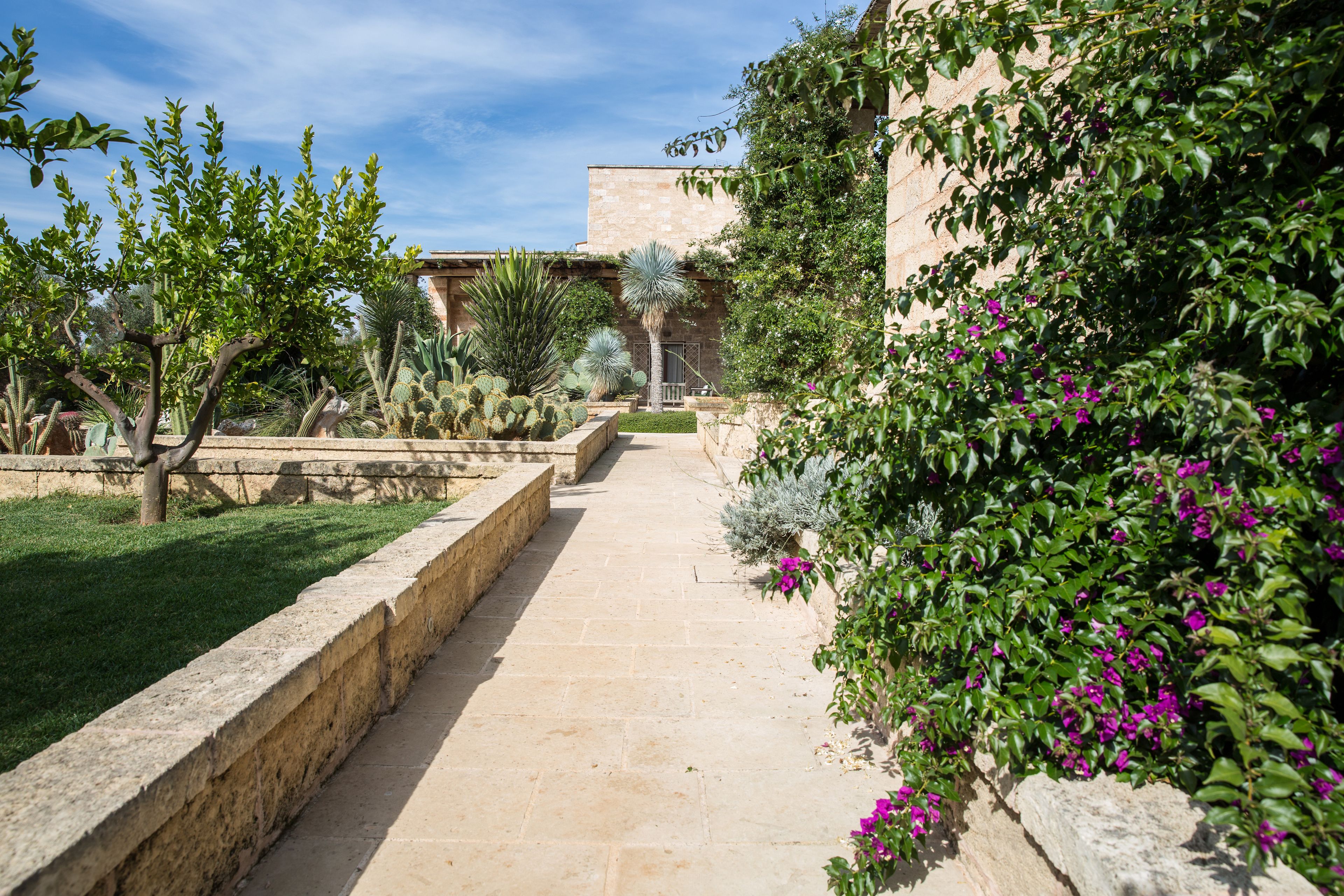 Cortile