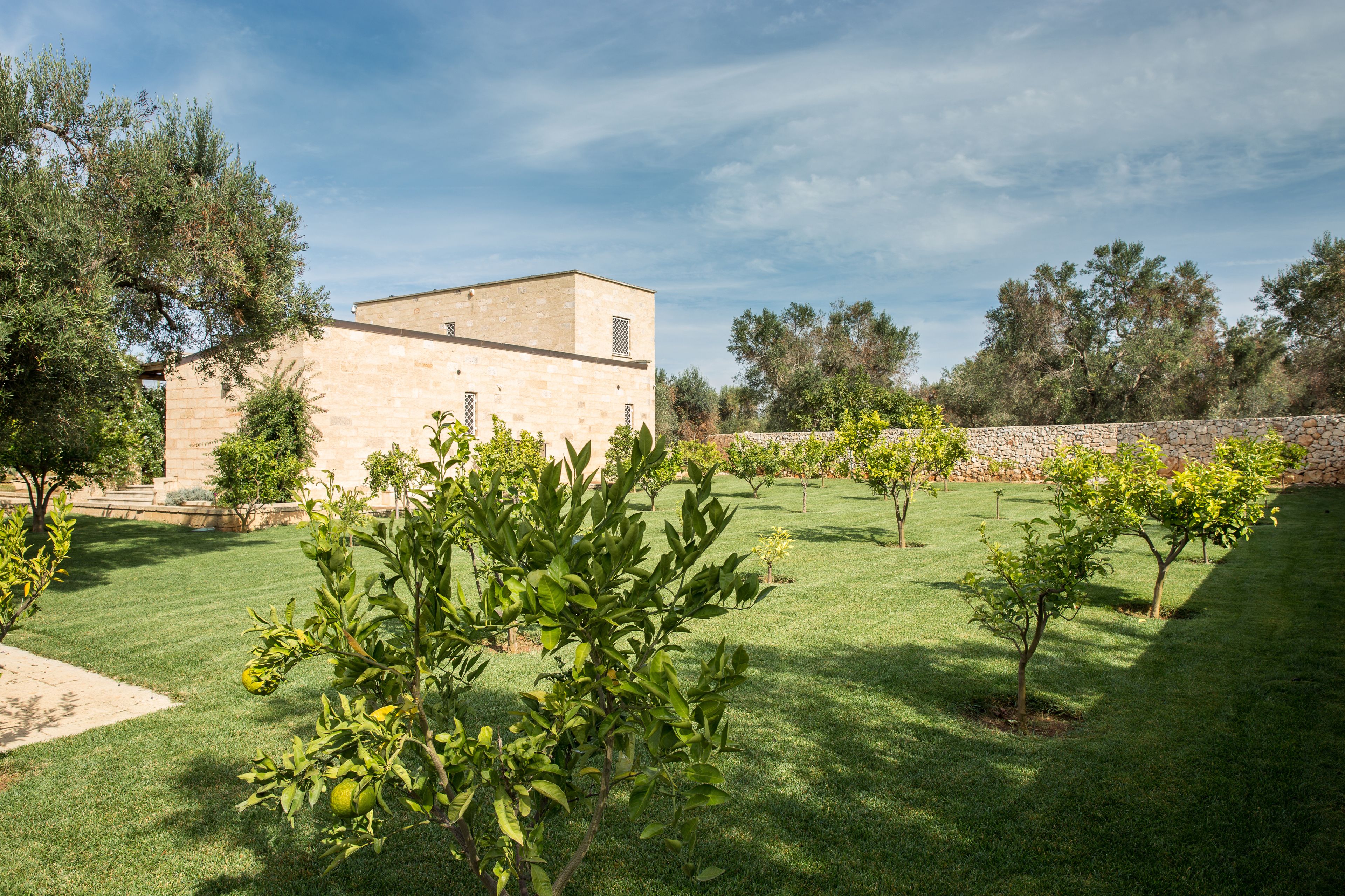 Jardin