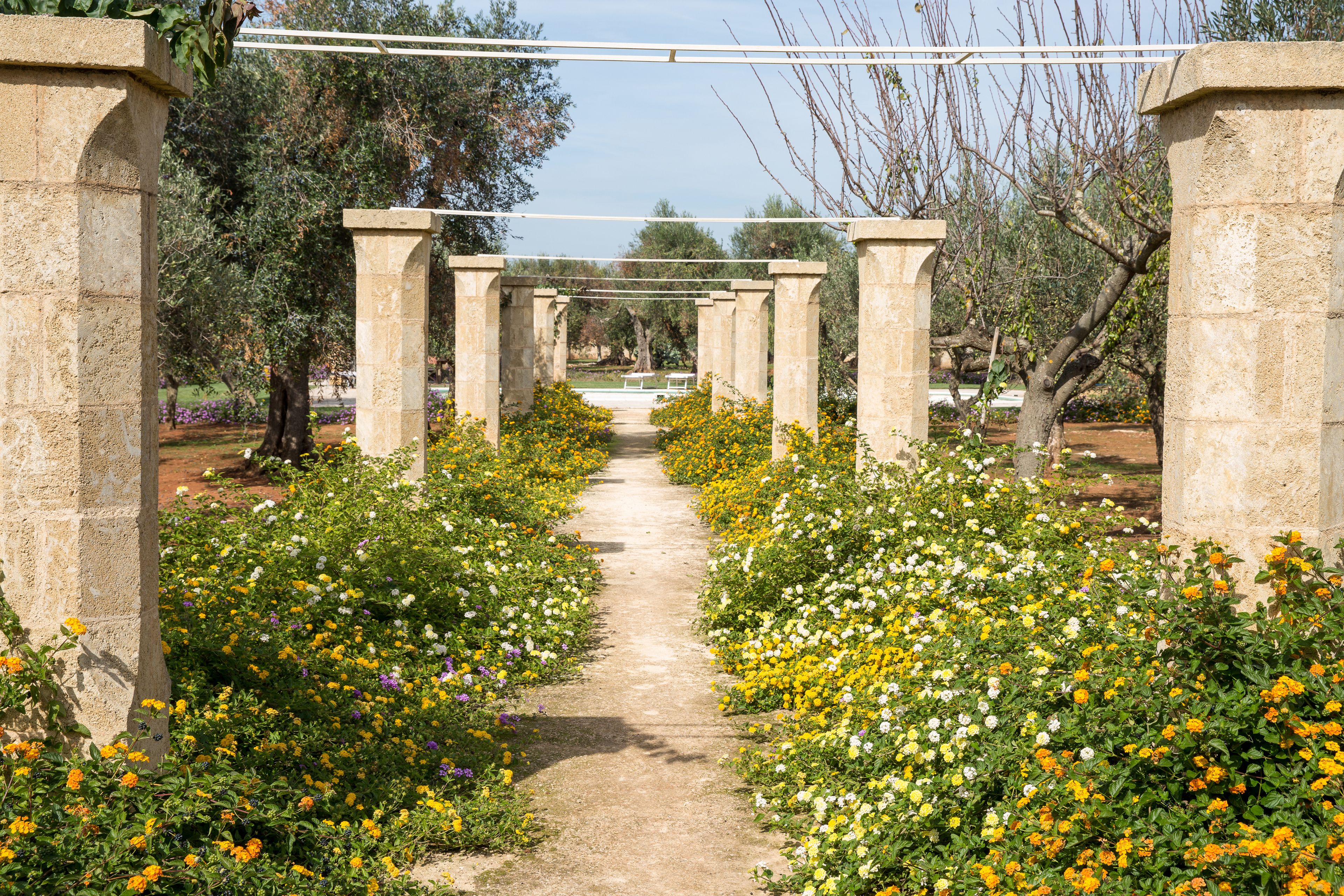 Jardín
