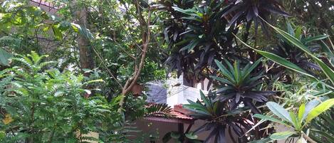 A lush garden with various plants and a pathway leading to a building.