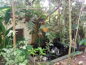 Garden - Peacock Wings Guest House (Mirissa)