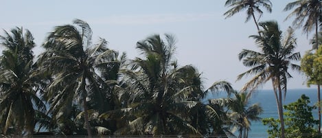 Beach/ocean view
