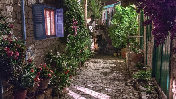 Una estrecha calle empedrada flanqueada por edificios de piedra con contraventanas, plantas en macetas y una valla verde.