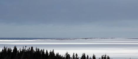 A snowy landscape with a forest in the foreground and a flat, snow-covered plain extending to the horizon under a cloudy sky.