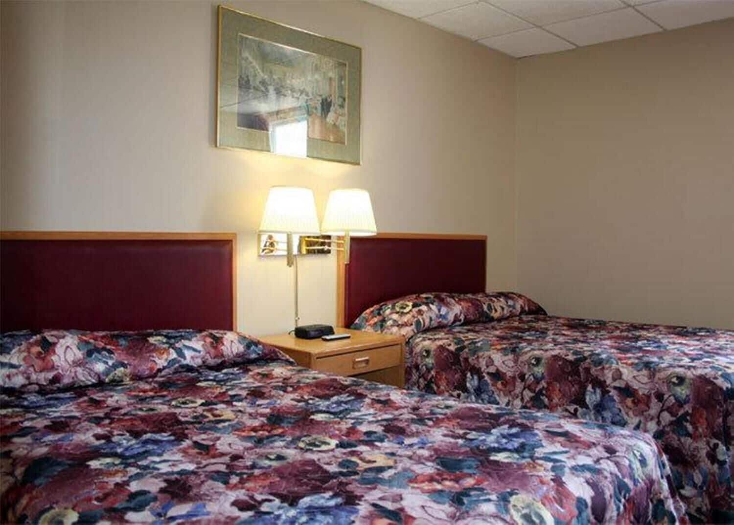 standard room, 2 single beds | desk, iron/ironing board, free wifi, bed sheets