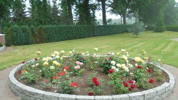 Un parterre de rosas de varios colores, bordeado de piedra, en un jardín ajardinado con setos y árboles al fondo.