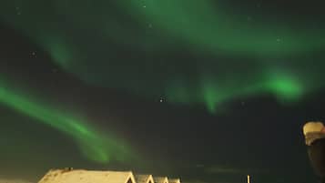 A building with a snow-covered roof and a series of windows, under a night sky with green aurora borealis.