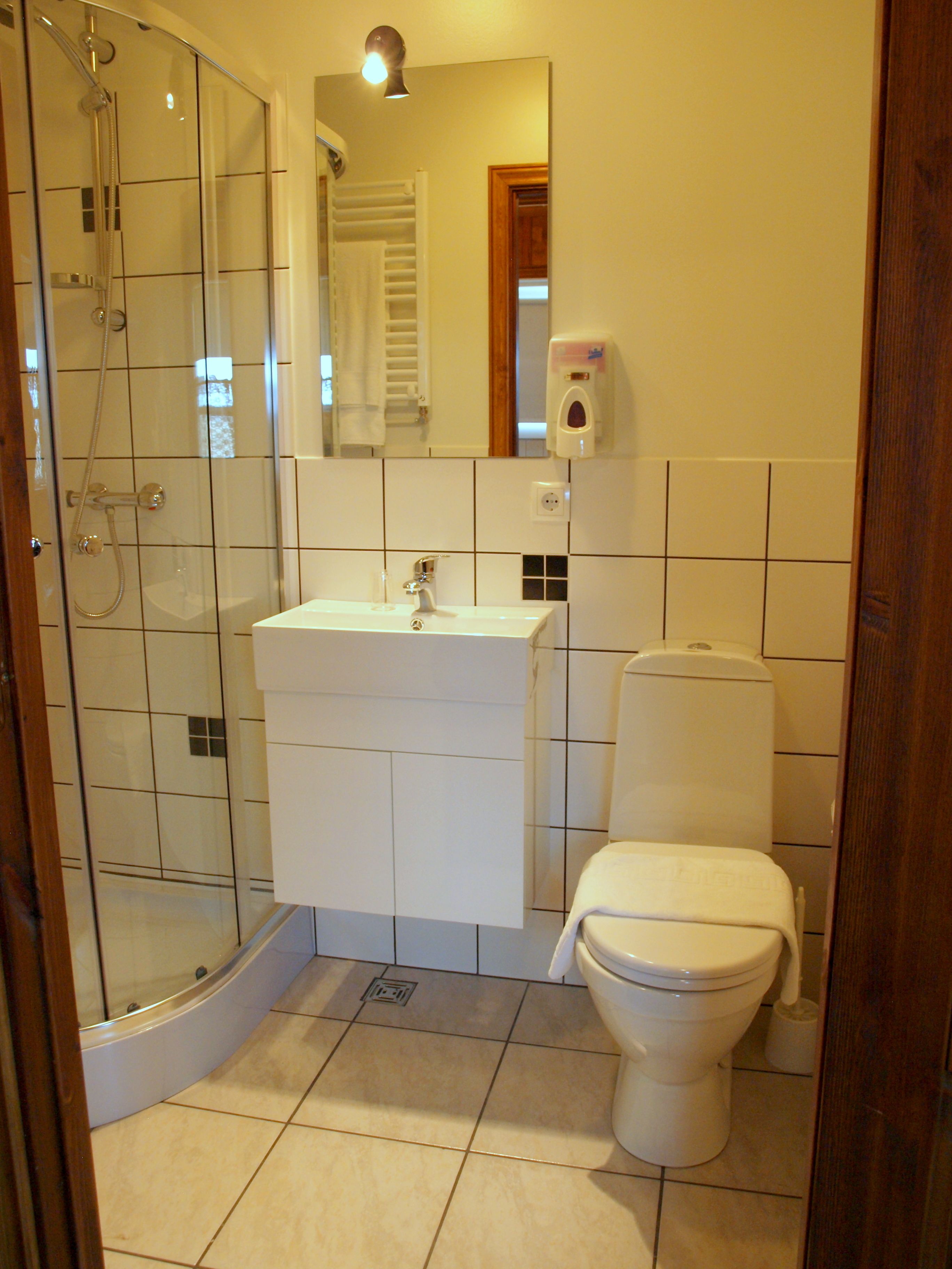 Kylpyhuone, jossa on lasiseinällä varustettu suihku, valkoinen pesuallas ja wc.