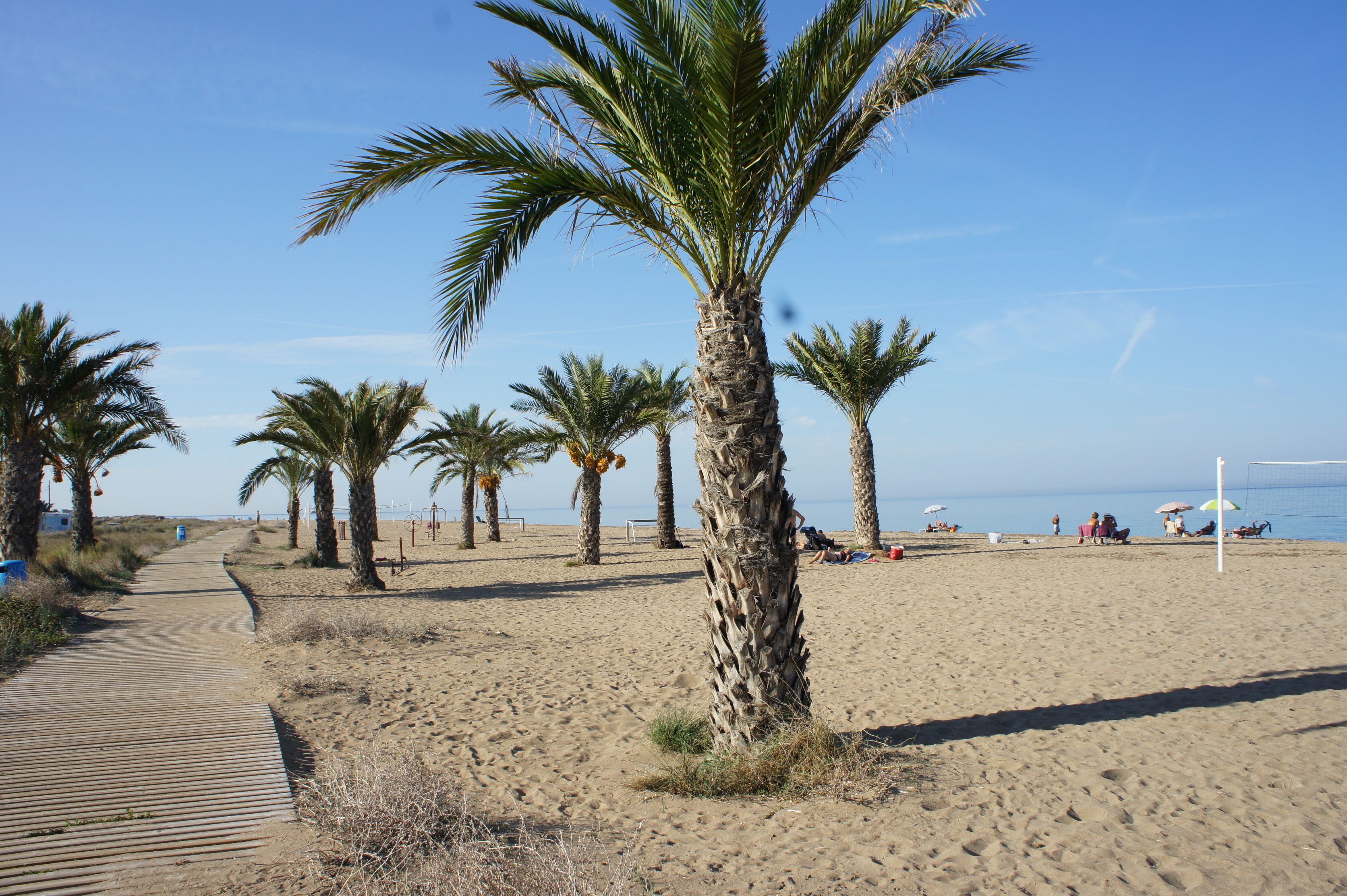 On the beach, white sand