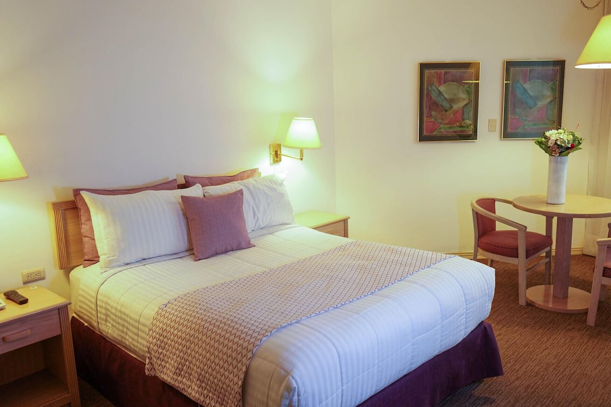 1 chambre, literie de qualité supérieure, couette en duvet d'oie