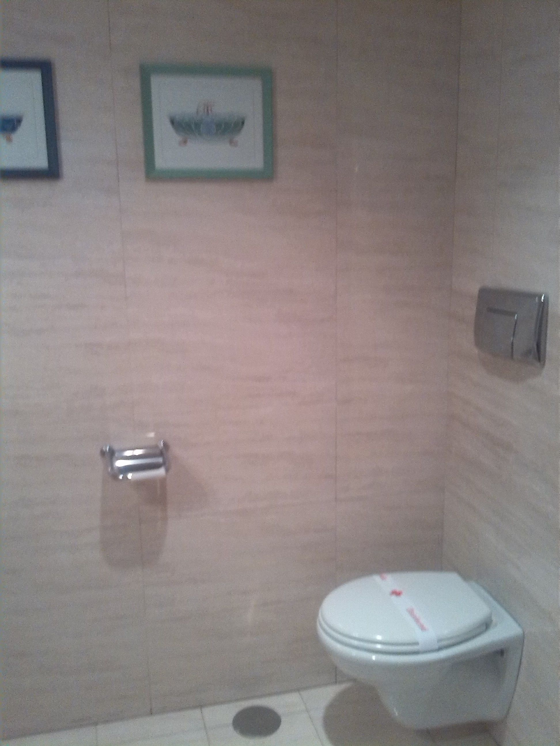 A bathroom with a toilet, a framed picture on the wall, and a hand dryer.