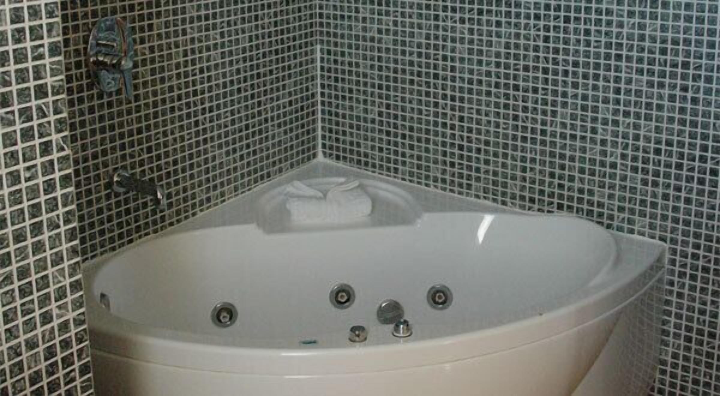 suite, jetted tub | bathroom | combined shower/bathtub, free toiletries, towels