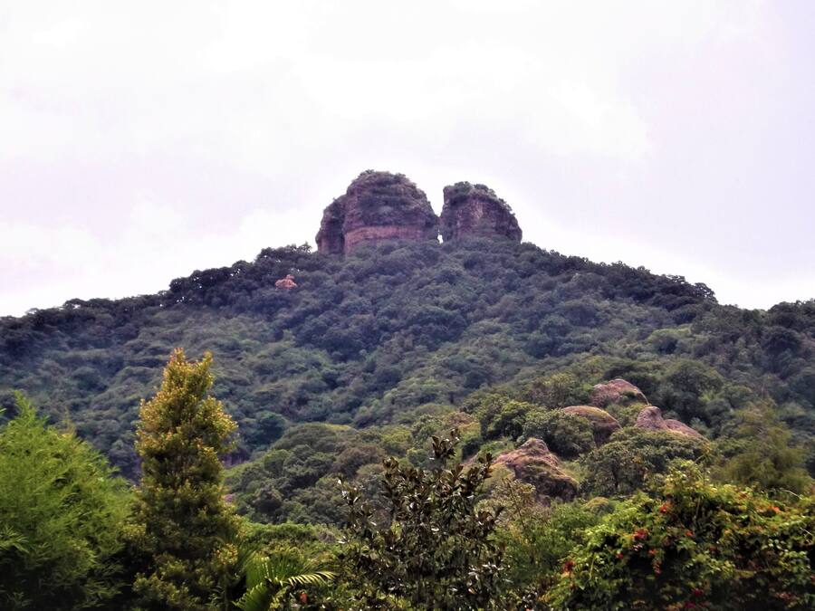 Un paisaje montañoso con bosque denso y afloramientos rocosos.
