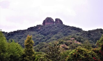 Un paisaje montañoso con bosque denso y afloramientos rocosos.