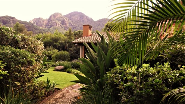 A house surrounded by lush greenery and a mountain backdrop. - Areté (Tepoztlán)