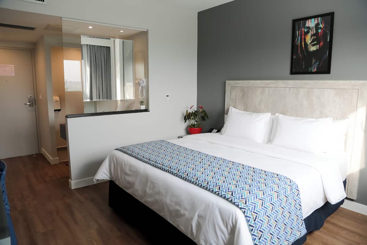 A hotel room with a large bed, a mirror, a wall-mounted artwork, and a small potted plant.