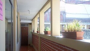 A corridor with a brick wall, potted plants, and a door at the end. - Mango Hostel Bed & Breakfast (Arequipa)