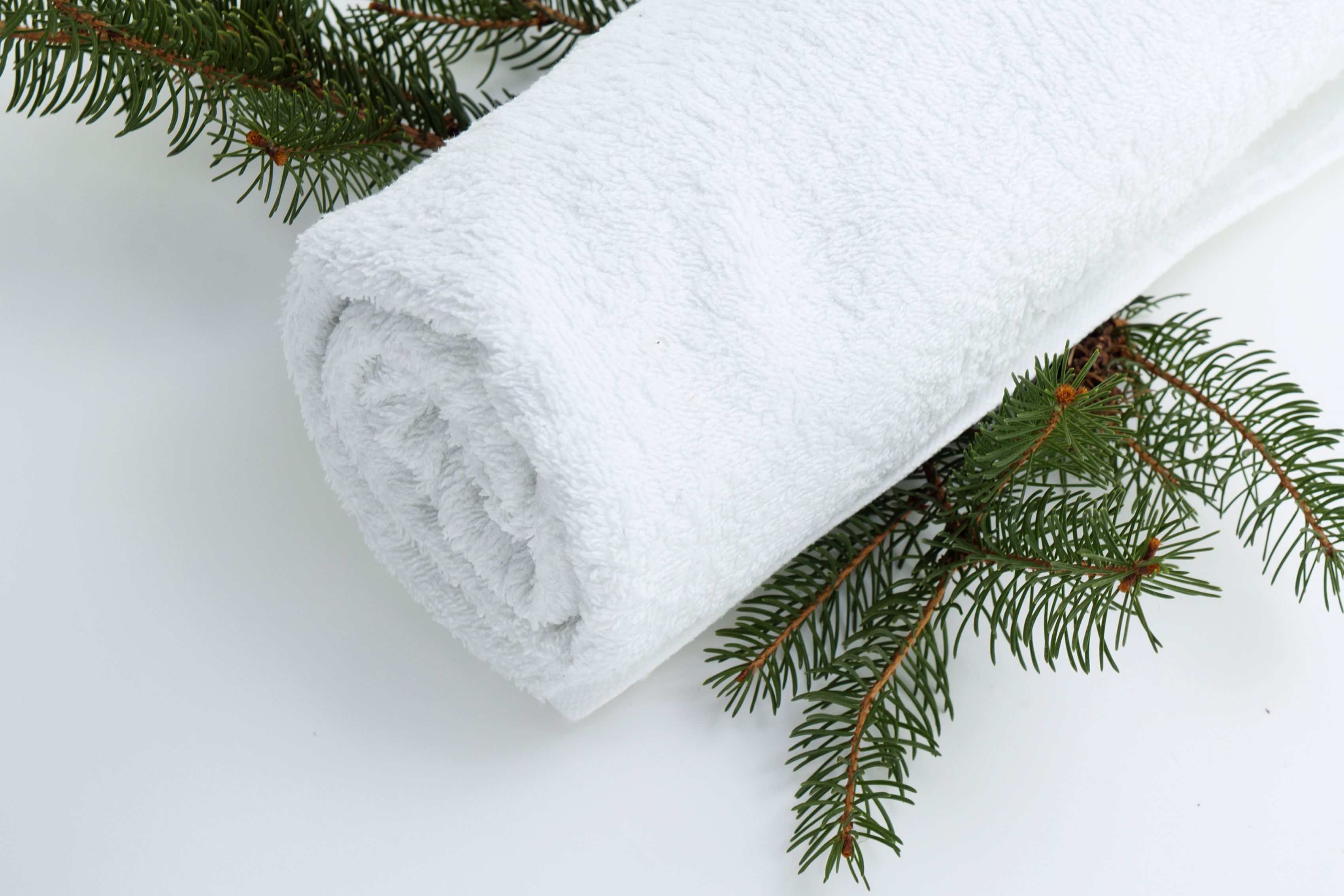 Foto - Calista Organic Hotel