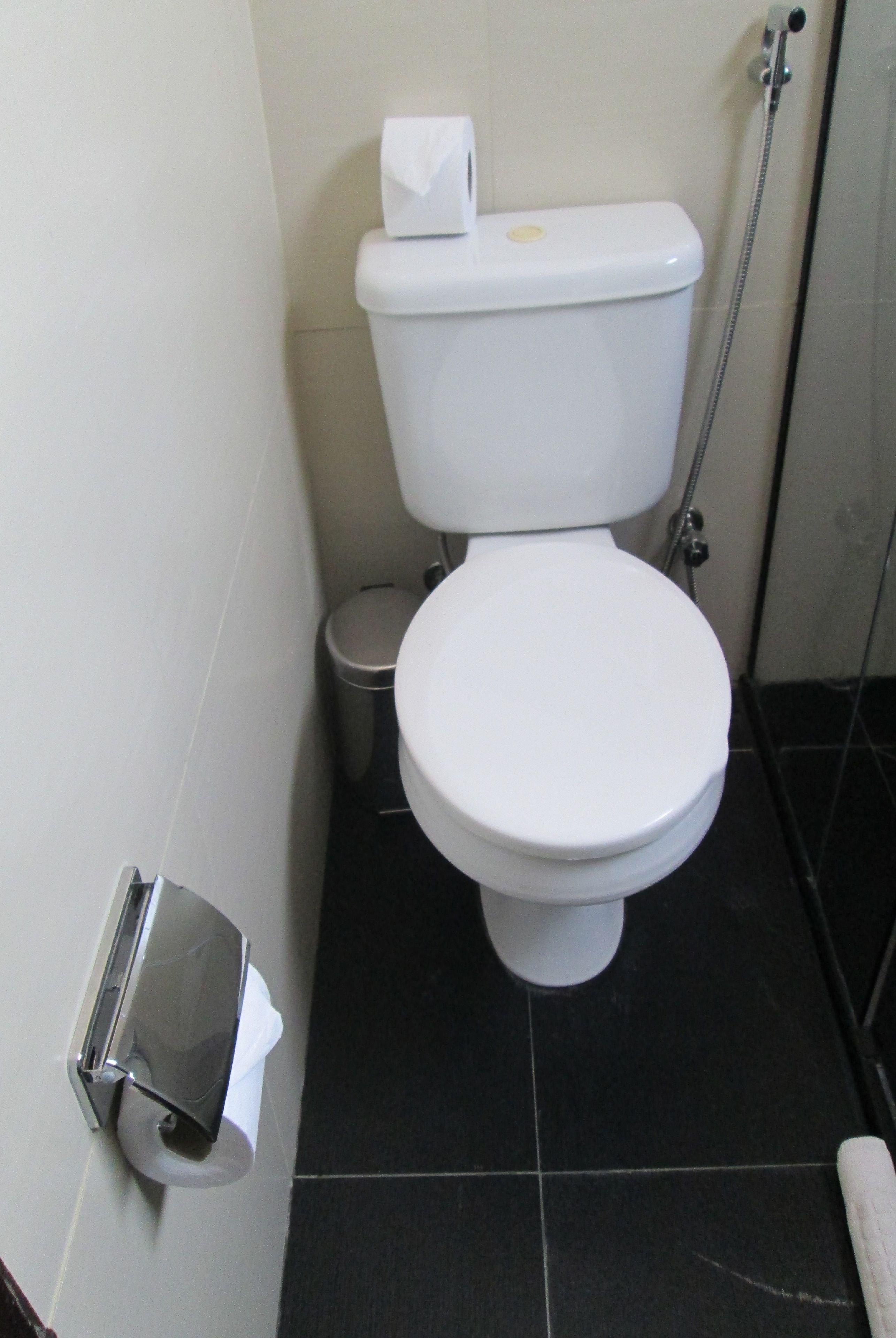 Et hvidt toilet med papirhåndklædeholder og en lille skraldespand ved siden af.