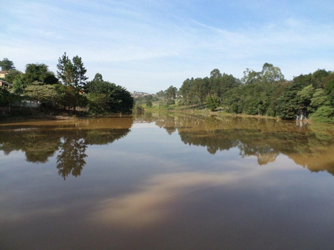 Un lago tranquilo que refleja árboles y un cielo despejado.