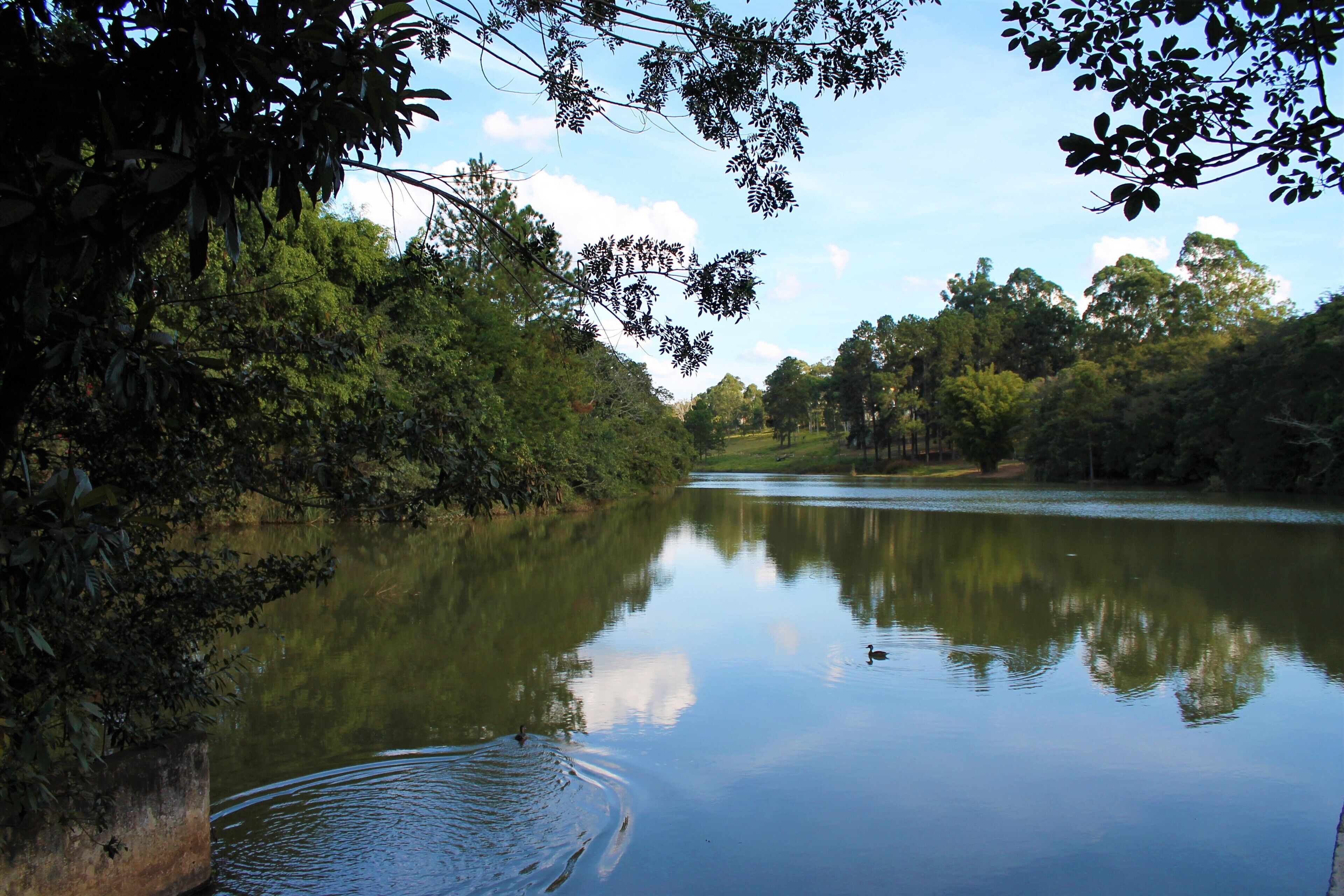 Lake