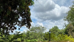 รูปภาพที่ไม่ได้จัดประเภท, 2 จาก 95, ปุ่ม