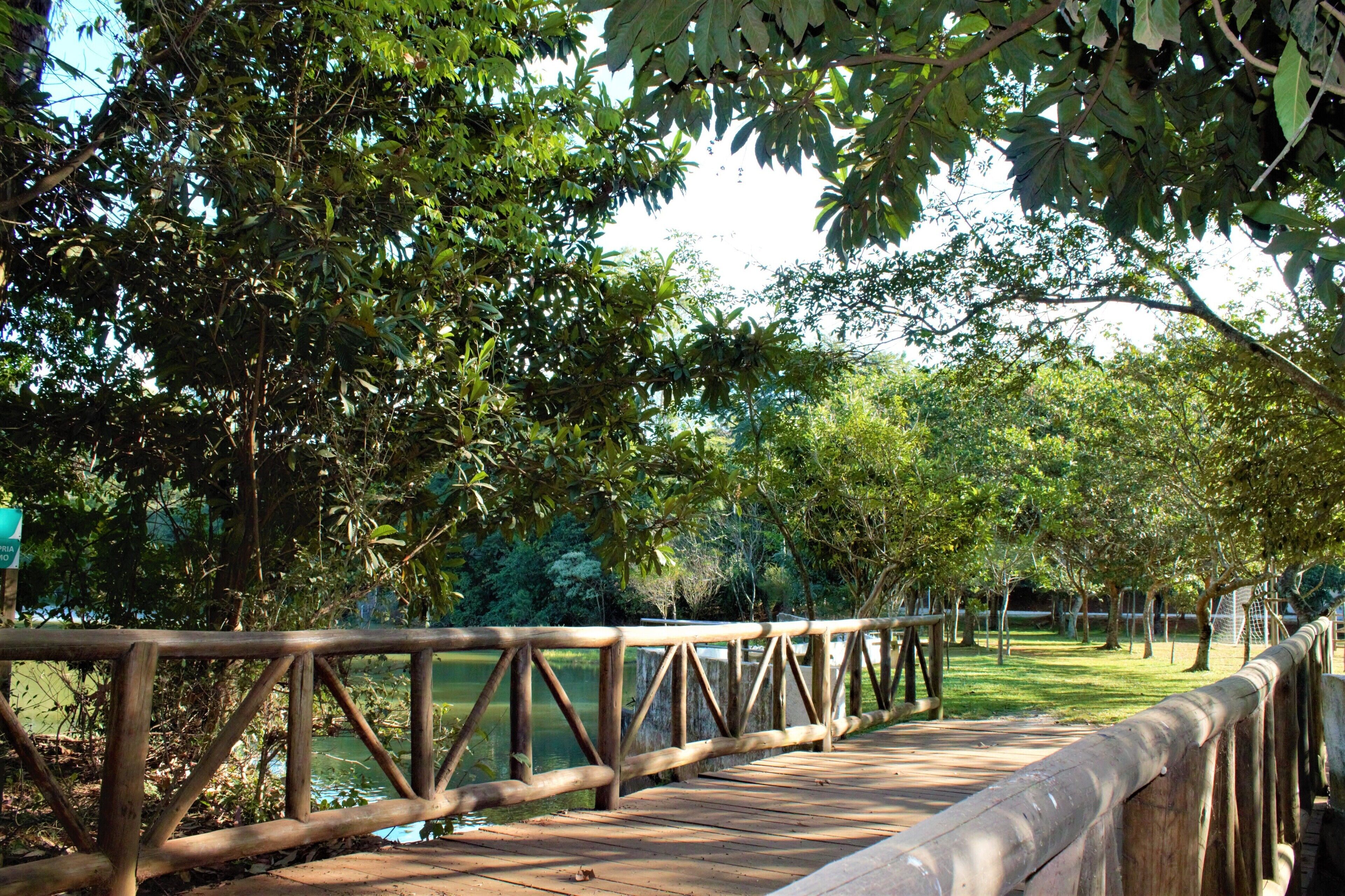 A wooden bridge with a metal railing, surrounded by lush greenery and trees.