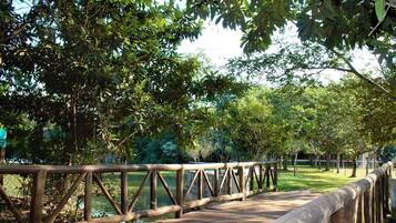 A wooden bridge with a metal railing, surrounded by lush greenery and trees.