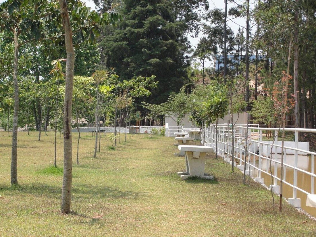 Un parque con árboles, bancos y una valla blanca.